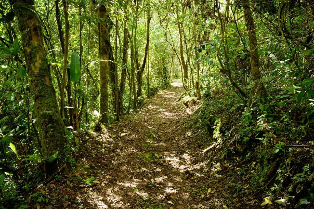 Talamanca Nature Reserve Rivas Εξωτερικό φωτογραφία