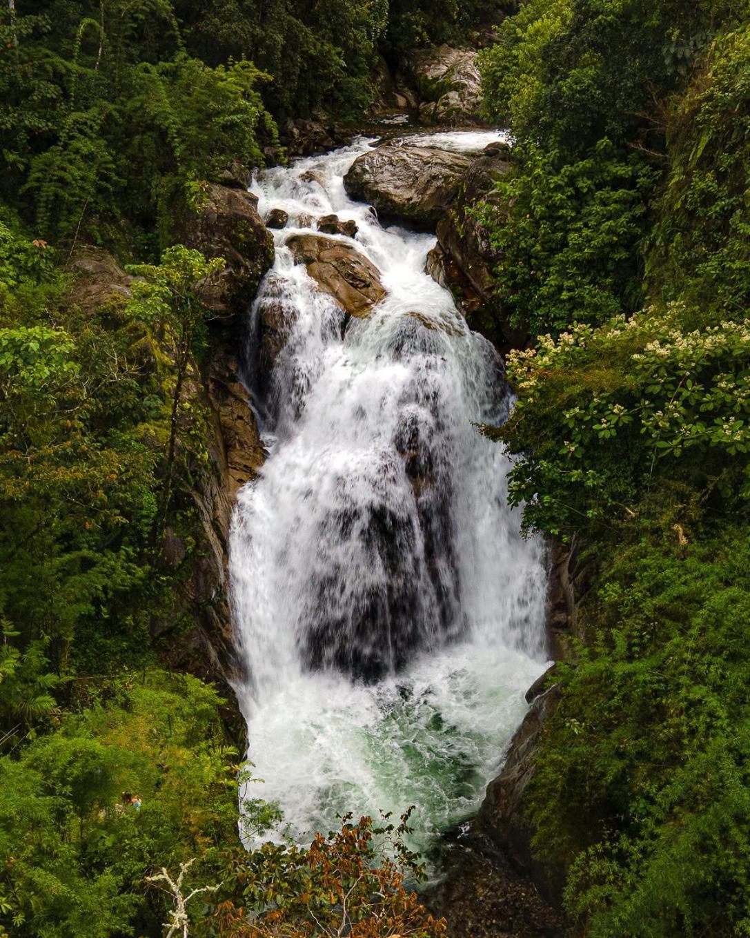 Talamanca Nature Reserve Rivas Εξωτερικό φωτογραφία