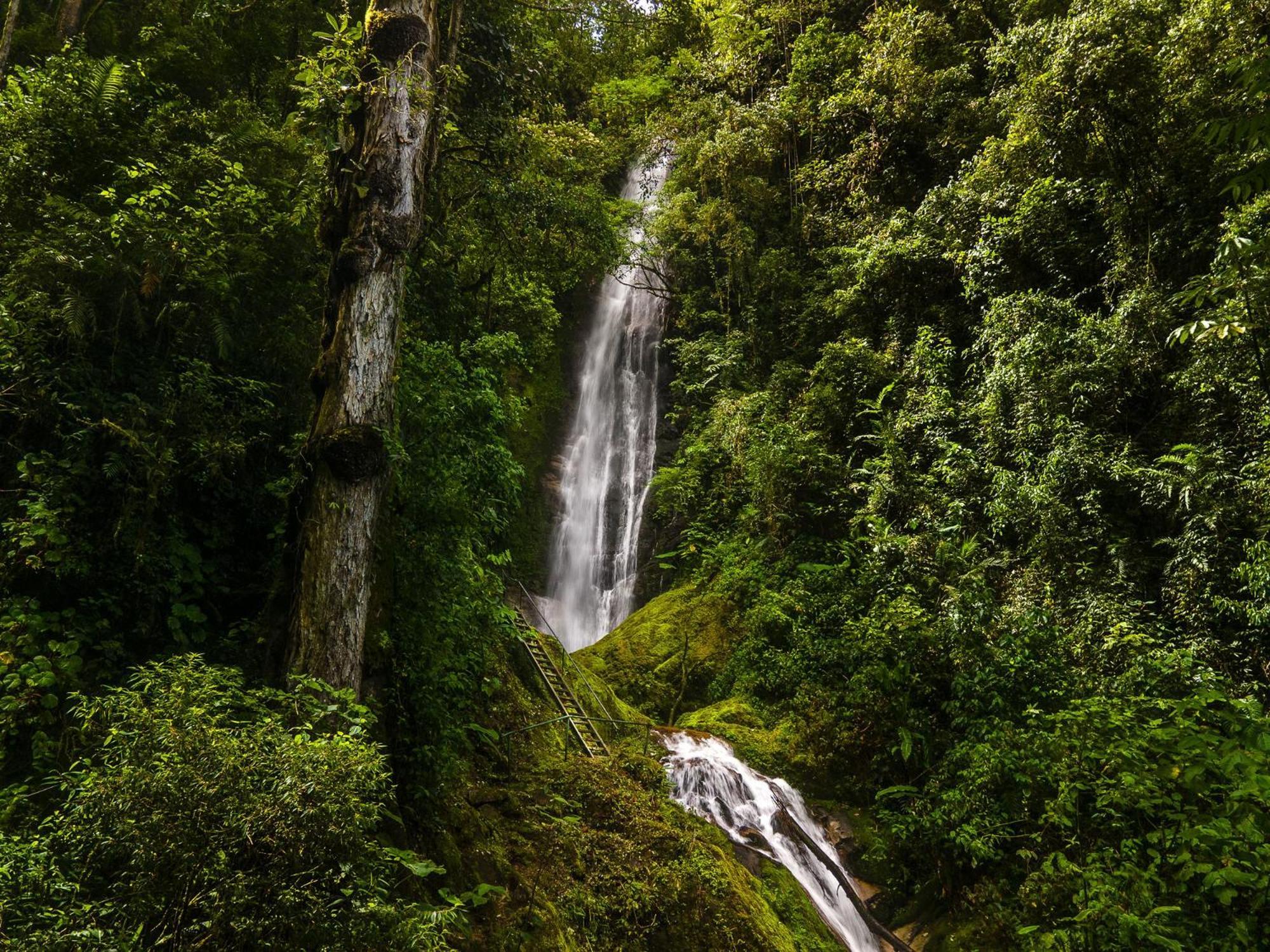 Talamanca Nature Reserve Rivas Εξωτερικό φωτογραφία