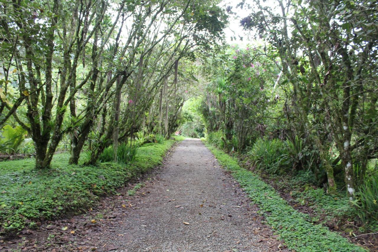 Talamanca Nature Reserve Rivas Εξωτερικό φωτογραφία